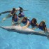 Nado Signature con Delfines