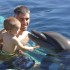 Encuentro con Delfines