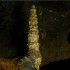 Grutas de Nombre de Dios y Quinta Carolina