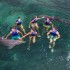 Xcaret Plus + Delfines