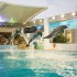 Nado con Delfines + Acuario Interactivo Cancún